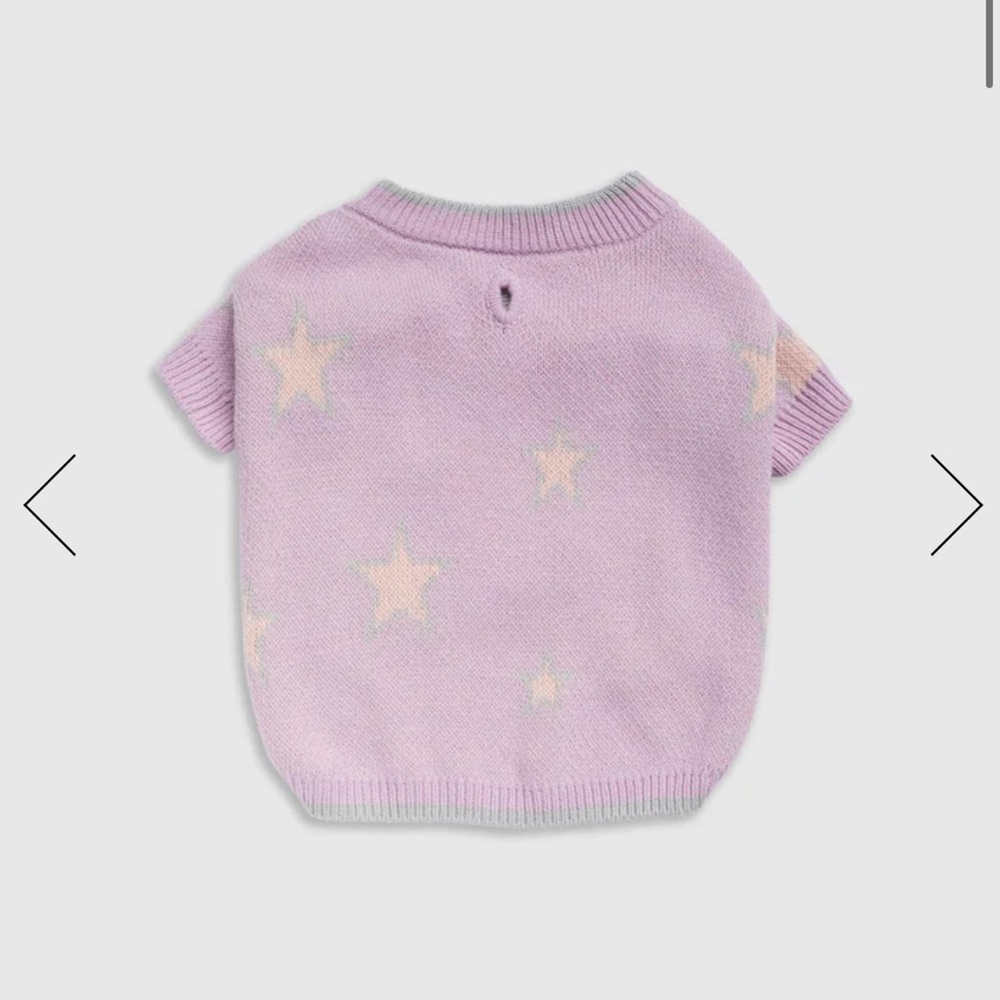 Splendid x Wild One Dog Star Sweater